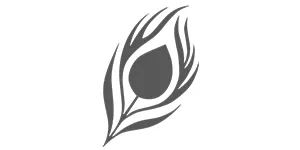 Saanwri - Amazon account manager